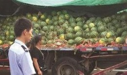 富县网红吃瓜事件真相揭秘,揭秘背后真相与争议