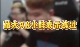 听b哥爆料白鲨视频,揭秘背后故事与精彩瞬间