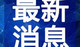 泰安猛姐爆料视频最新,揭秘惊人内幕，引发社会热议
