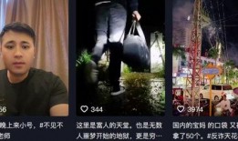 甜甜圈爆料视频,揭秘幕后真相，带你走进神秘事件内幕