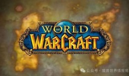 暴雪国服新皮肤爆料最新,炫彩登场，英雄风采再升级！