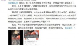 焦家金矿爆料事件视频全集,揭露矿场黑幕与环保危机