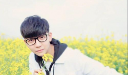 娱乐吃瓜酱胡夏,娱乐吃瓜酱的甜蜜旋律之旅