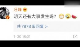 娱乐吃瓜经纪公司,吃瓜群众背后的经纪公司风云录