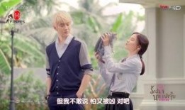 泰国一吻定情在线观看,甜蜜爱情故事在线观看