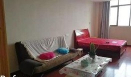 女子出租房爆料新闻,揭露租房行业潜规则与安全隐患