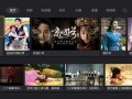 美国在线观看视频,美国在线视频观看趋势解析