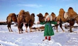 蒙古袍子爆料视频,爆料视频背后的时尚传奇