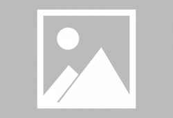 朵利亚皮肤最新爆料图片,惊艳亮相，细节解析