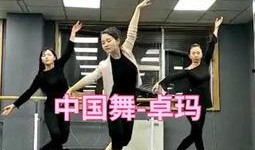 舞蹈老师视频爆料大全最新,精彩瞬间与幕后故事一网打尽