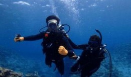 海底王宫爆料视频大全,独家爆料视频大全深度解析