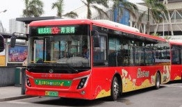 珠海公交车爆料新闻,真相令人震惊！