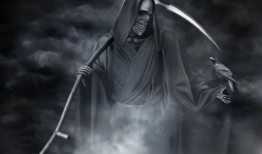 小草神镰刀视频爆料,神秘力量背后的真相曝光