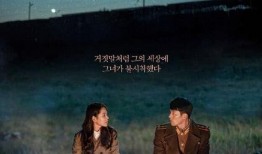 爱的迫降在线观看11,命运交织，情感升温，揭秘神秘爱情密码