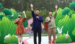 苏醒娱乐爆料视频最新一期,揭秘娱乐圈幕后真相