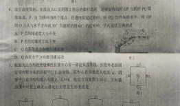 春风专案最新爆料消息是真的吗