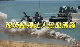 军事爆料短视频,军事爆料短视频背后的真实故事