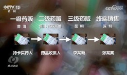 柏博爆料全过程视频,揭秘事件真相与幕后黑幕