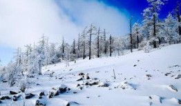 林海雪原在线观看