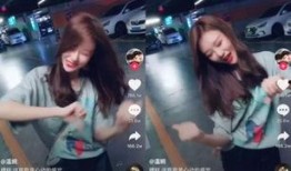 网红大姐爆料视频大全下载,揭秘网络红人幕后真相