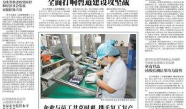 恩平新闻爆料事件,揭开背后真相与争议