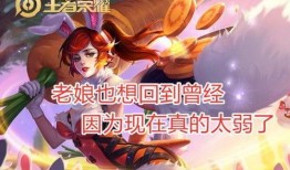 王者爆料花姐视频,花姐视频揭秘游戏新动态