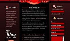 王室最新爆料网站下载安装,最新爆料网站下载安装全攻略