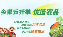 农村媒体爆料案例大全最新,揭示乡村社会现象与问题