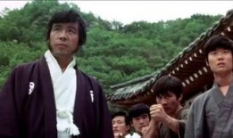 跆拳震九州在线观看,在线观看，领略中华武术风采