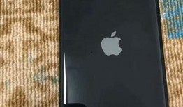 苹果11 最新爆料缺点,揭秘五大潜在缺点与不足