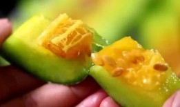 网红421吃瓜,揭秘娱乐圈背后的惊人真相