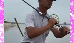 大钓哥在线观看,揭秘钓鱼高手的生活与技巧