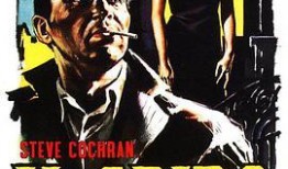 在线观看282电影,在线观看的视觉盛宴