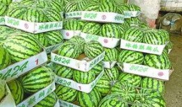 武汉免费吃瓜,免费吃瓜活动来袭，清凉一夏共享欢乐