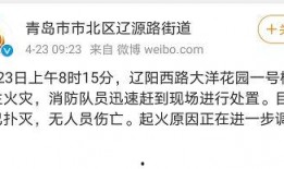 最新辽阳爆料消息,揭秘事件背后真相