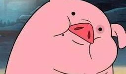 娱乐吃瓜酱猪猪视频下载,揭秘热门娱乐内容获取新方式