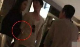 网友爆料井柏然事件视频,网友热议真相与疑点