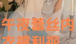 在线观看蕾丝,蕾丝在线观看的视觉盛宴解析