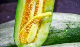 网红421吃瓜,揭秘娱乐圈背后的惊人真相