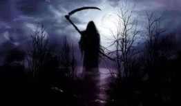 小草神镰刀视频爆料,神秘力量背后的真相曝光