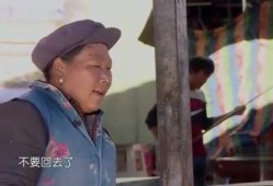 扒爷大爆料王麻子视频,王麻子视频揭秘幕后真相