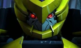 武战道在线观看