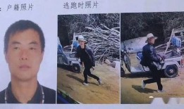 焦家金矿爆料事件视频全集,揭露矿场黑幕与环保危机