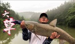 大钓哥在线观看,揭秘钓鱼高手的生活与技巧