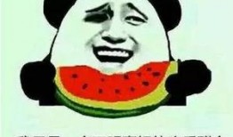 花式吃瓜小说免费阅读,免费阅读花式吃瓜小说之旅