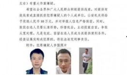 四川枪击案爆料最新情况,悲剧再起，警方全力侦破中