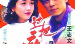 过把瘾在线观看,沉浸式体验，重温经典情感之旅