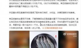 王海爆料视频,行业乱象背后的真相曝光