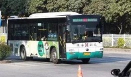 珠海公交车爆料新闻,真相令人震惊！