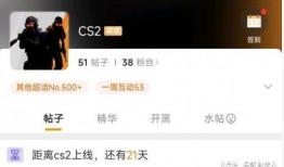 cs2最新作弊爆料视频,揭秘作弊者如何破坏游戏公平性